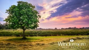 Simona Groves, Tree