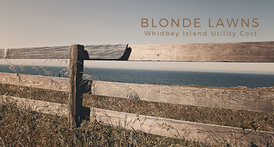 Blonde Lawns, Whidbey island